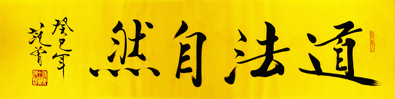 鷨֤