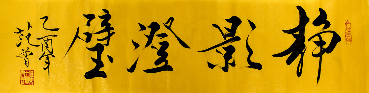 鷨֤