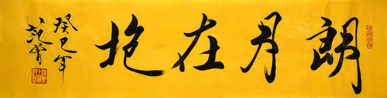 鷨֤