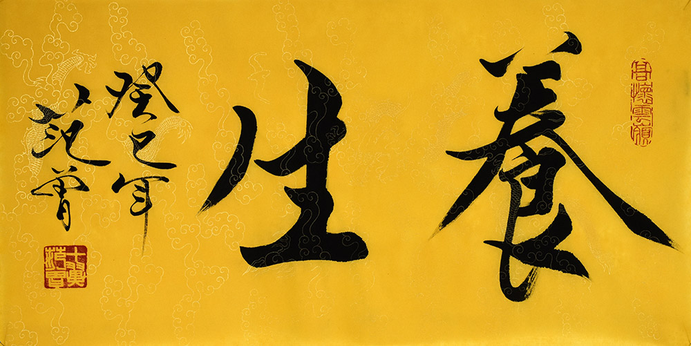 鷨