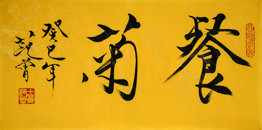 鷨