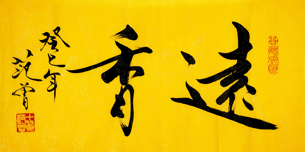 鷨