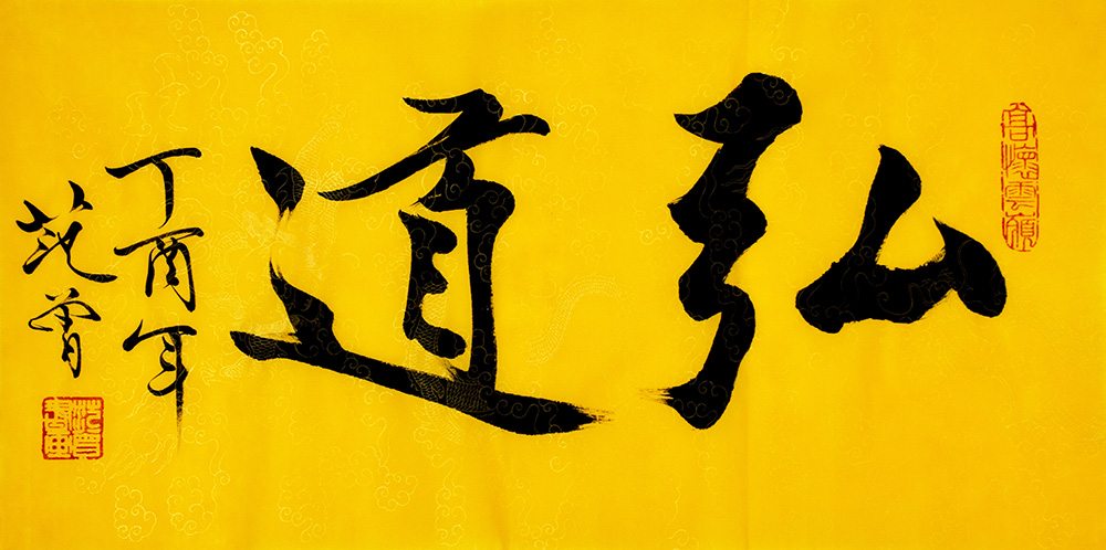 鷨