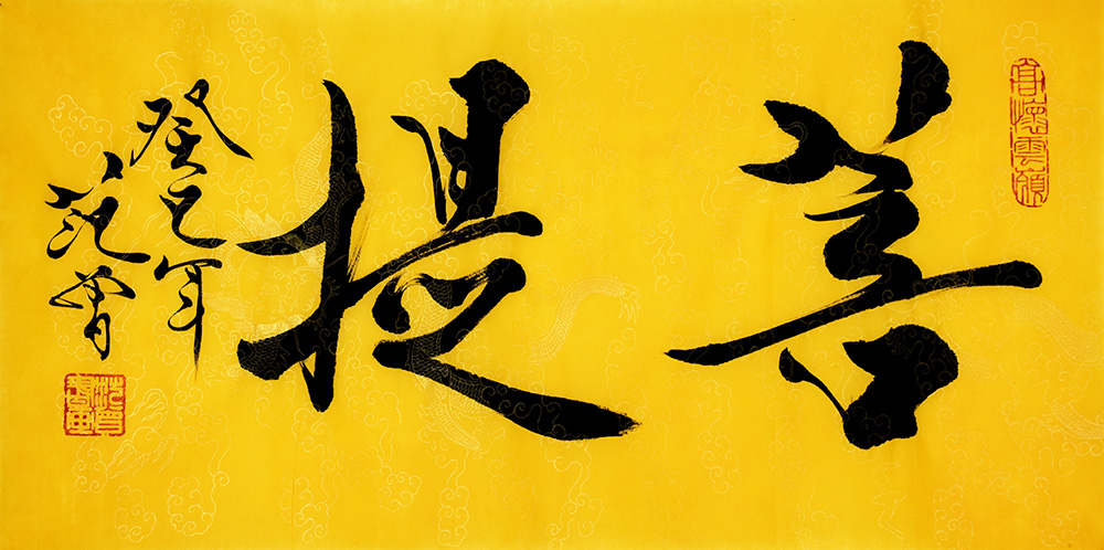 鷨
