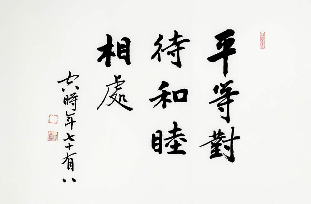 鷨