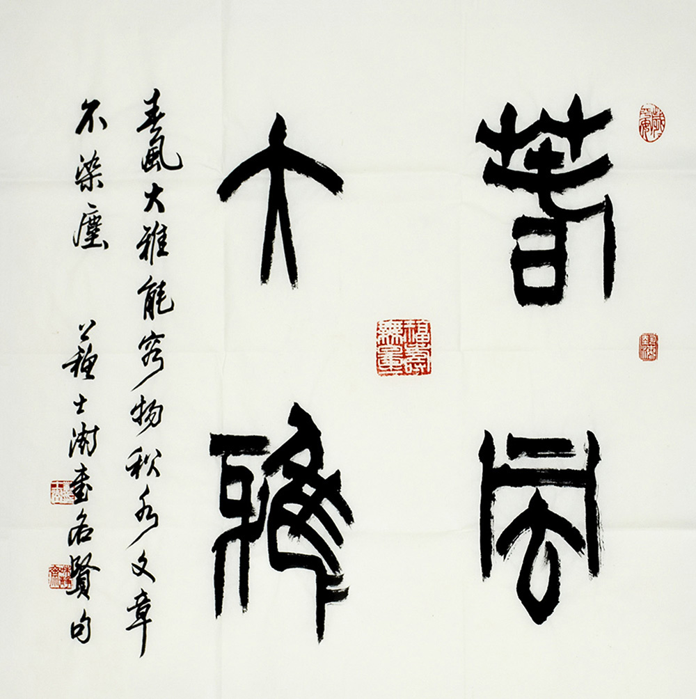 鷨