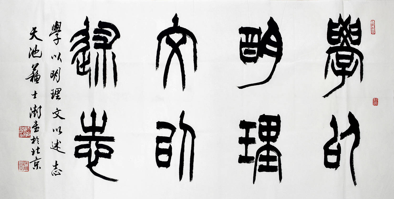 鷨
