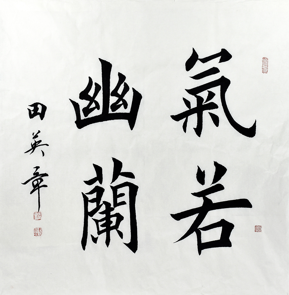 鷨