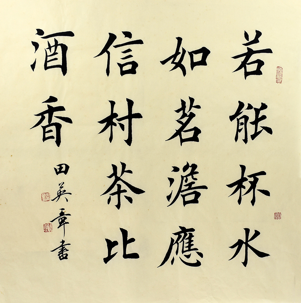 鷨