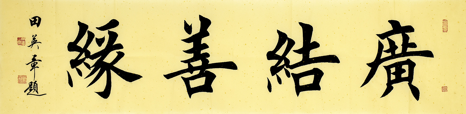 鷨