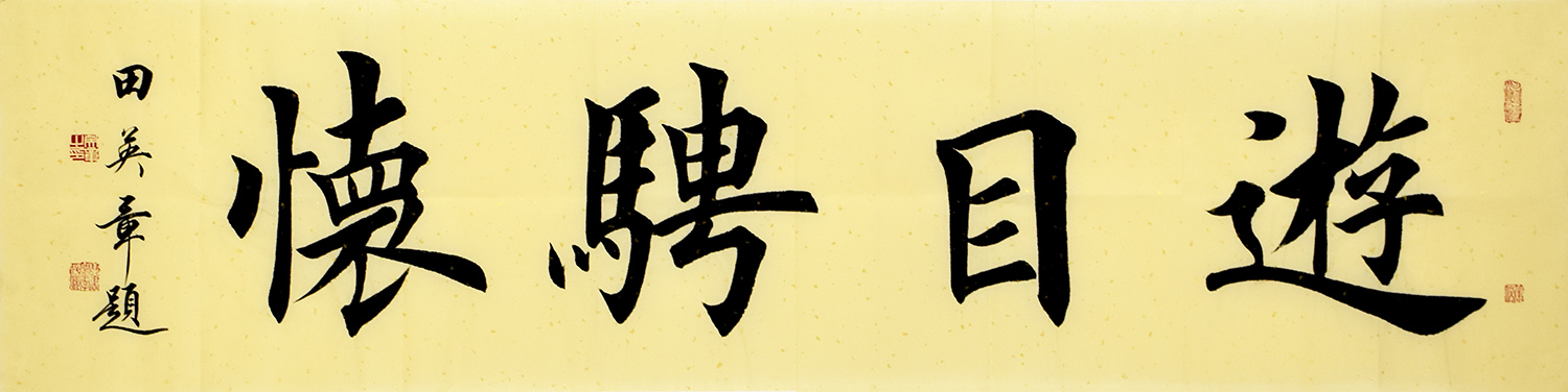 鷨