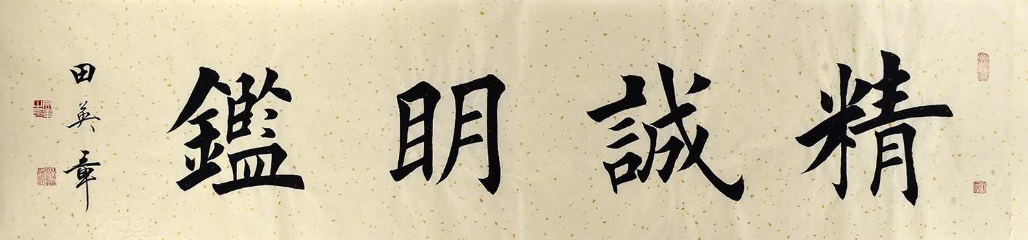 鷨