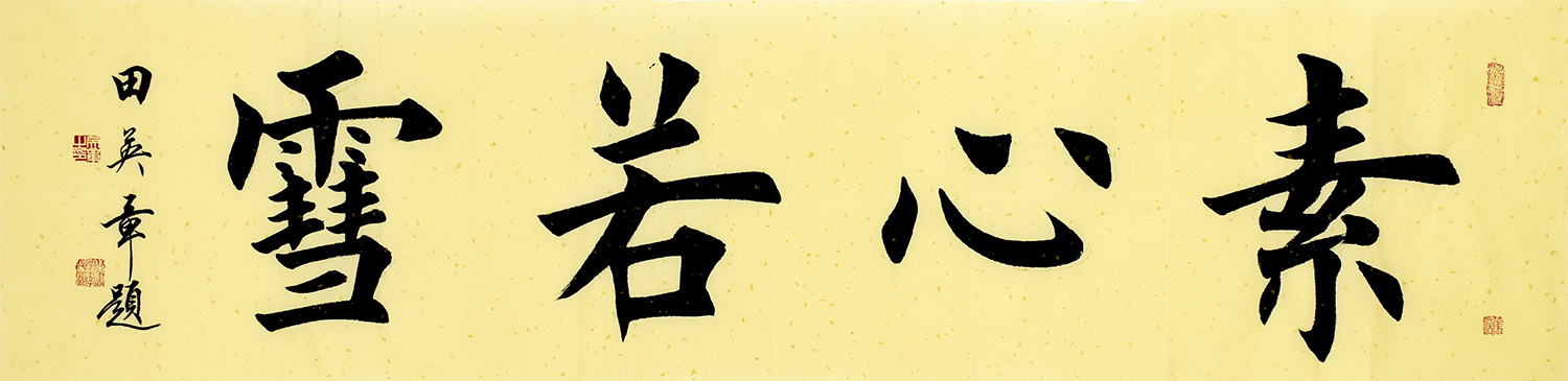 鷨  