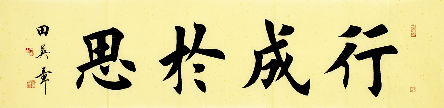 鷨  г˼