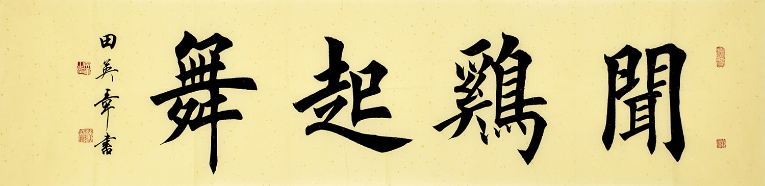 鷨  ż
