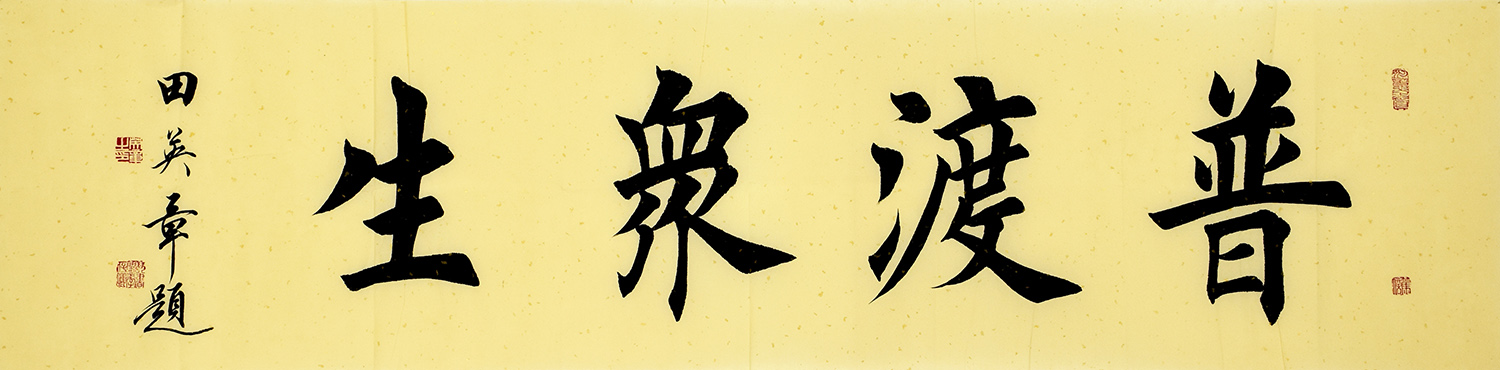 鷨  ն 