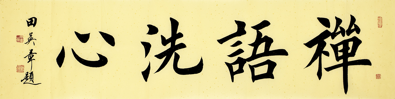鷨  ϴ