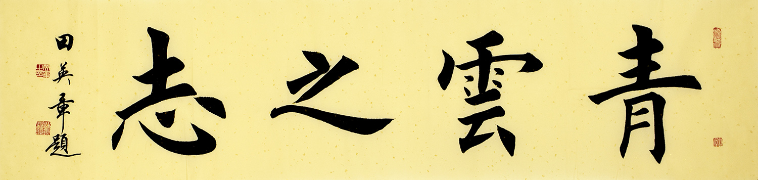 鷨  ֮־