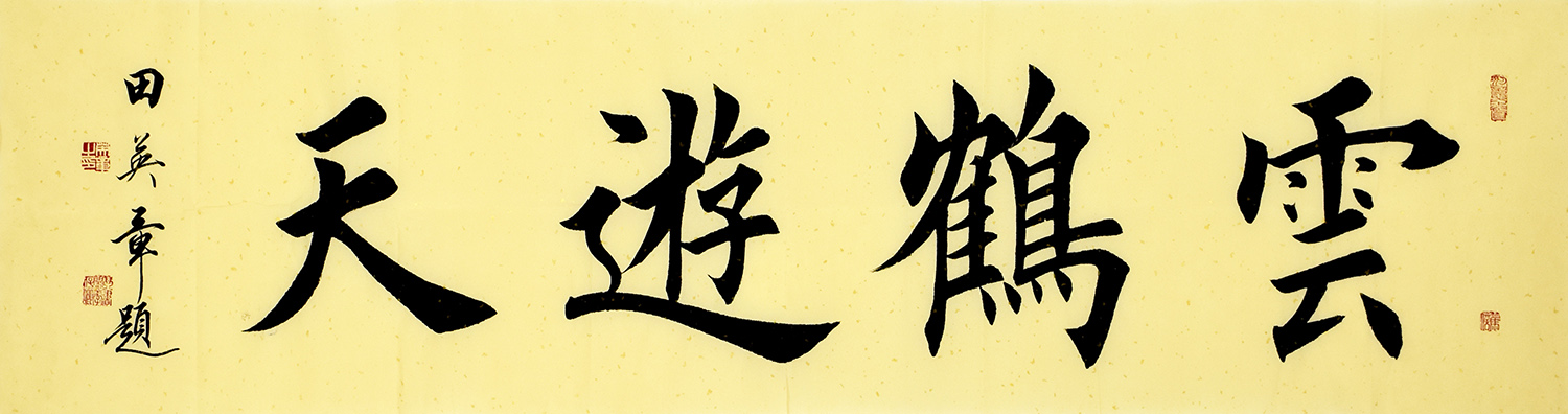 鷨  ƺ