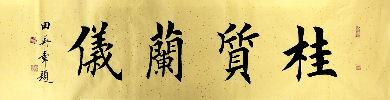 鷨  