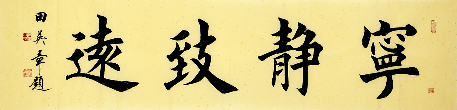 鷨  Զ
