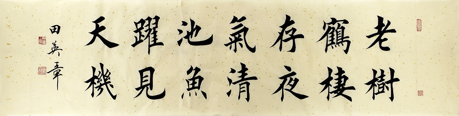鷨   