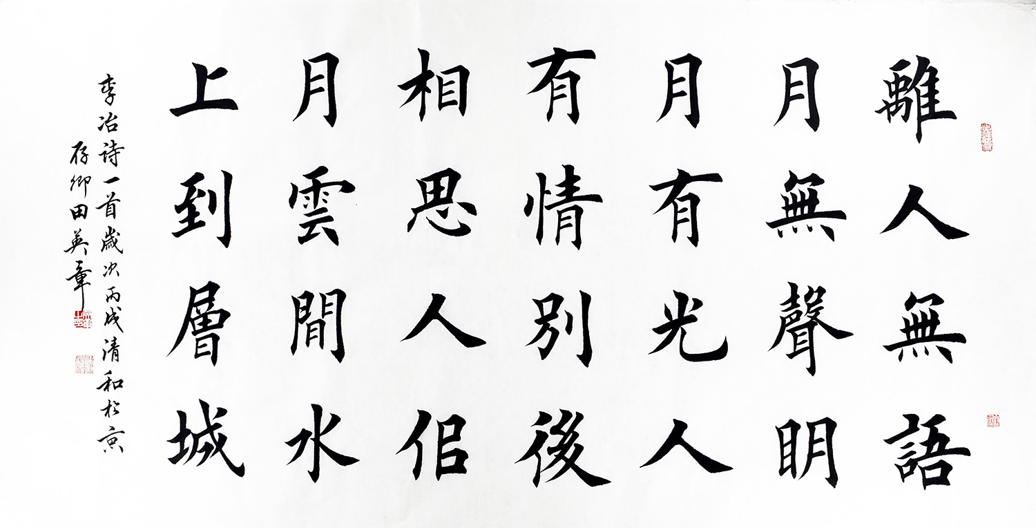 鷨  