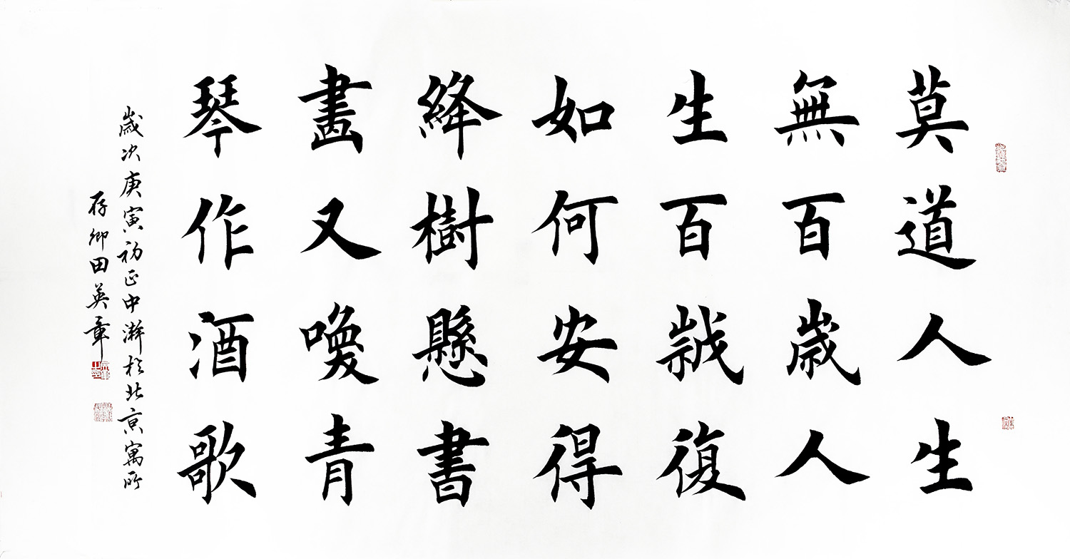 鷨  