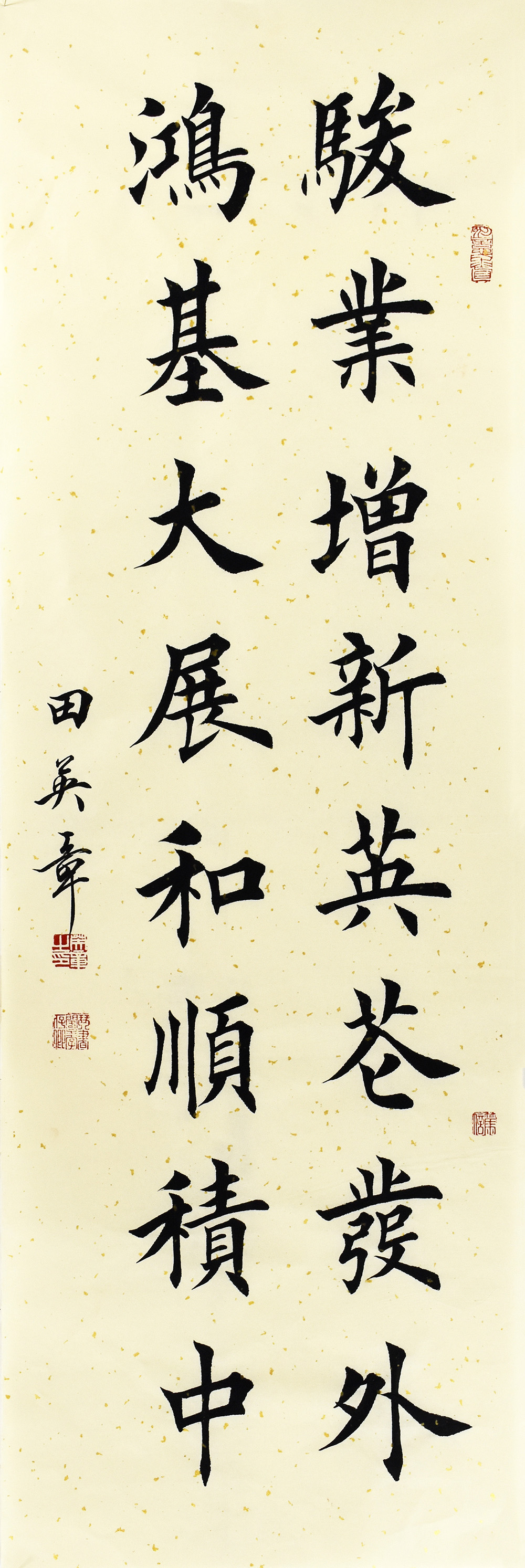 鷨  