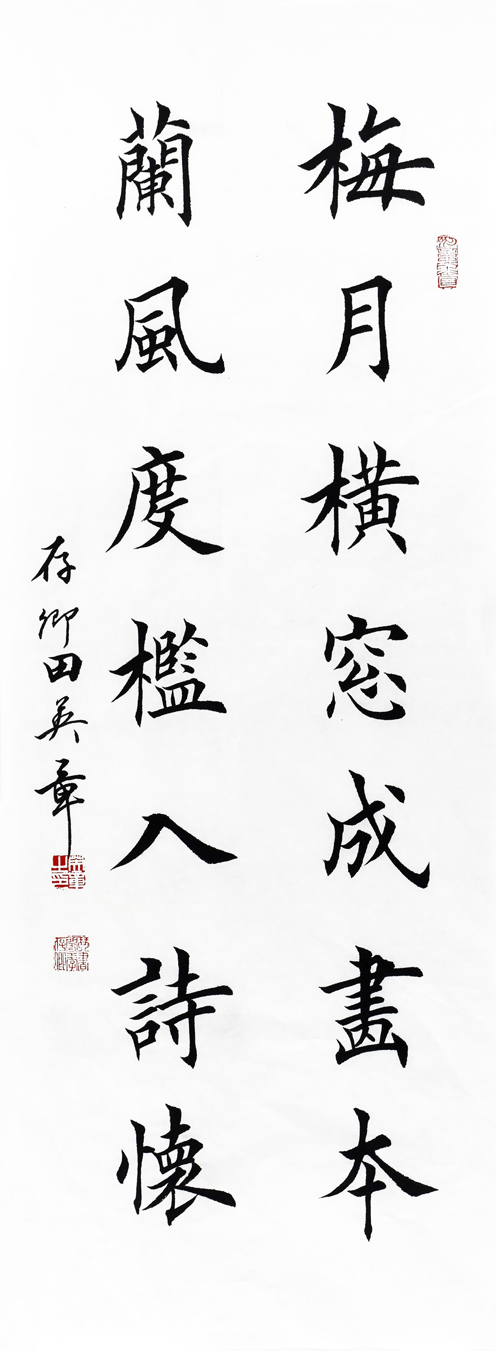 鷨  