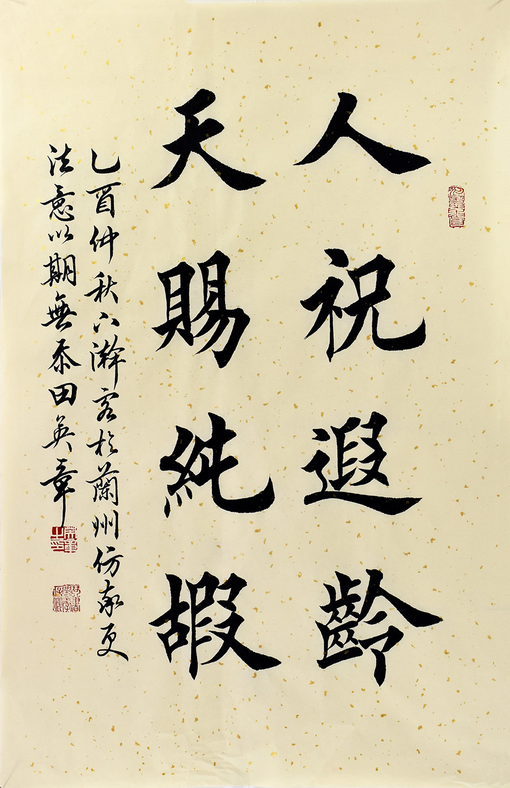 鷨