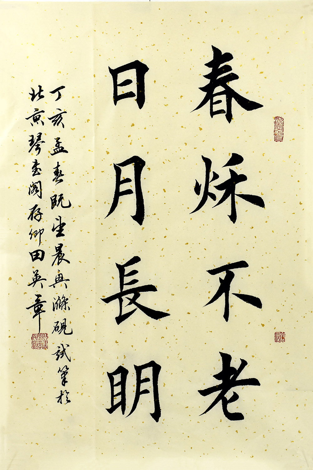 鷨