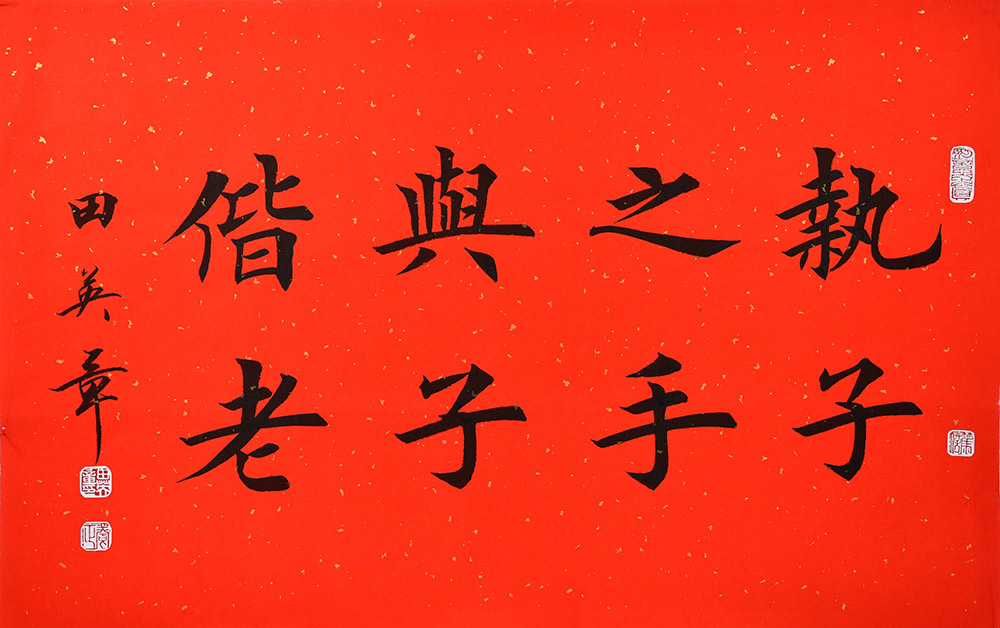 鷨