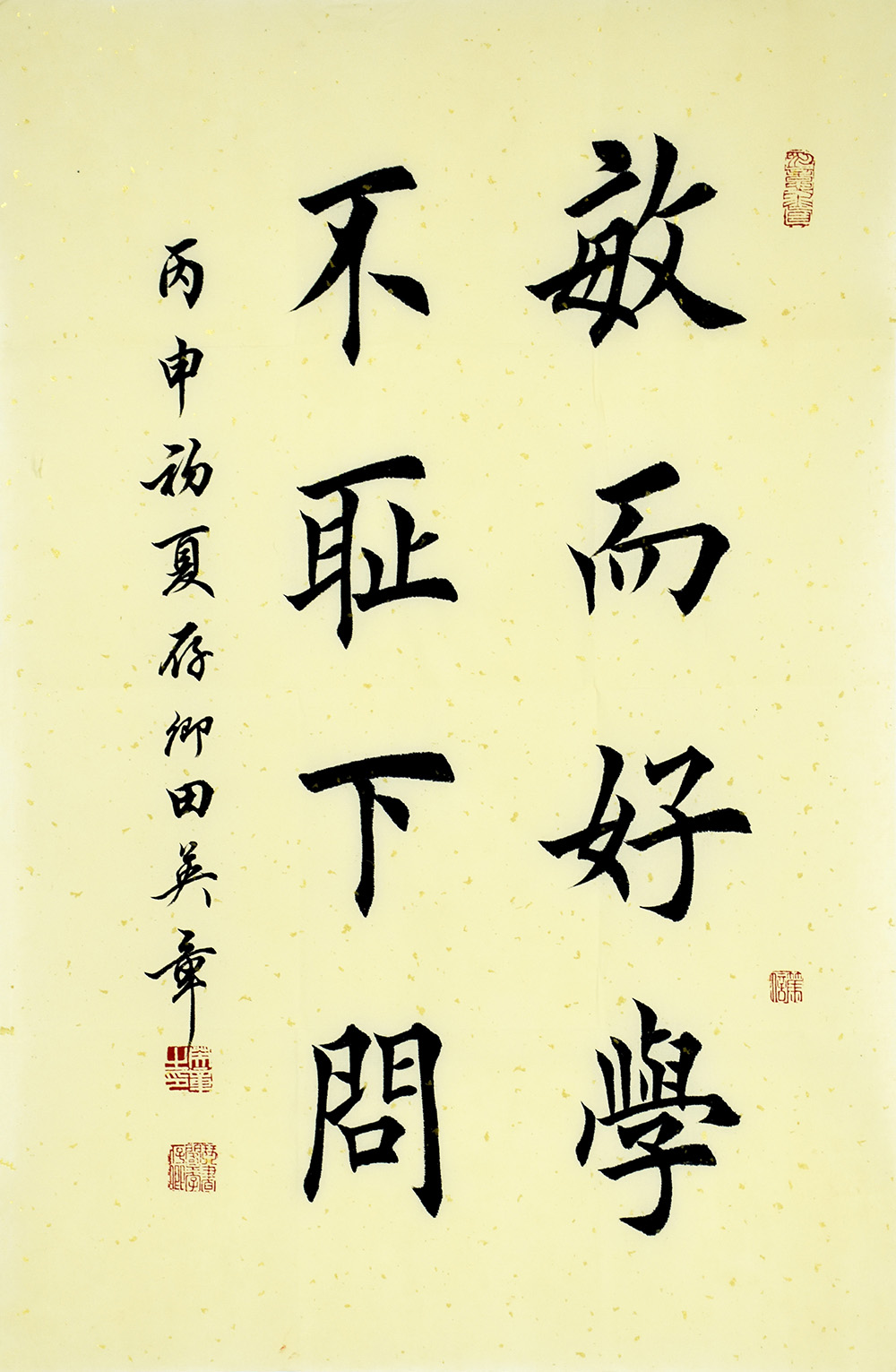 鷨
