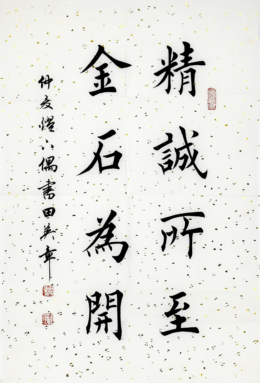 鷨