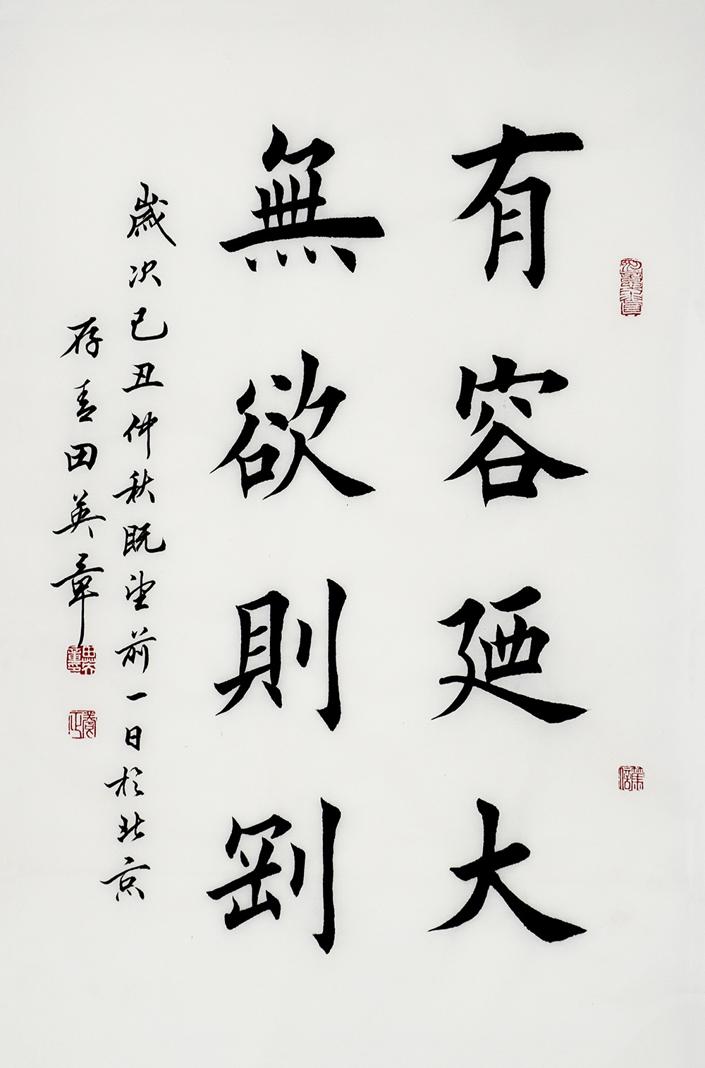 鷨