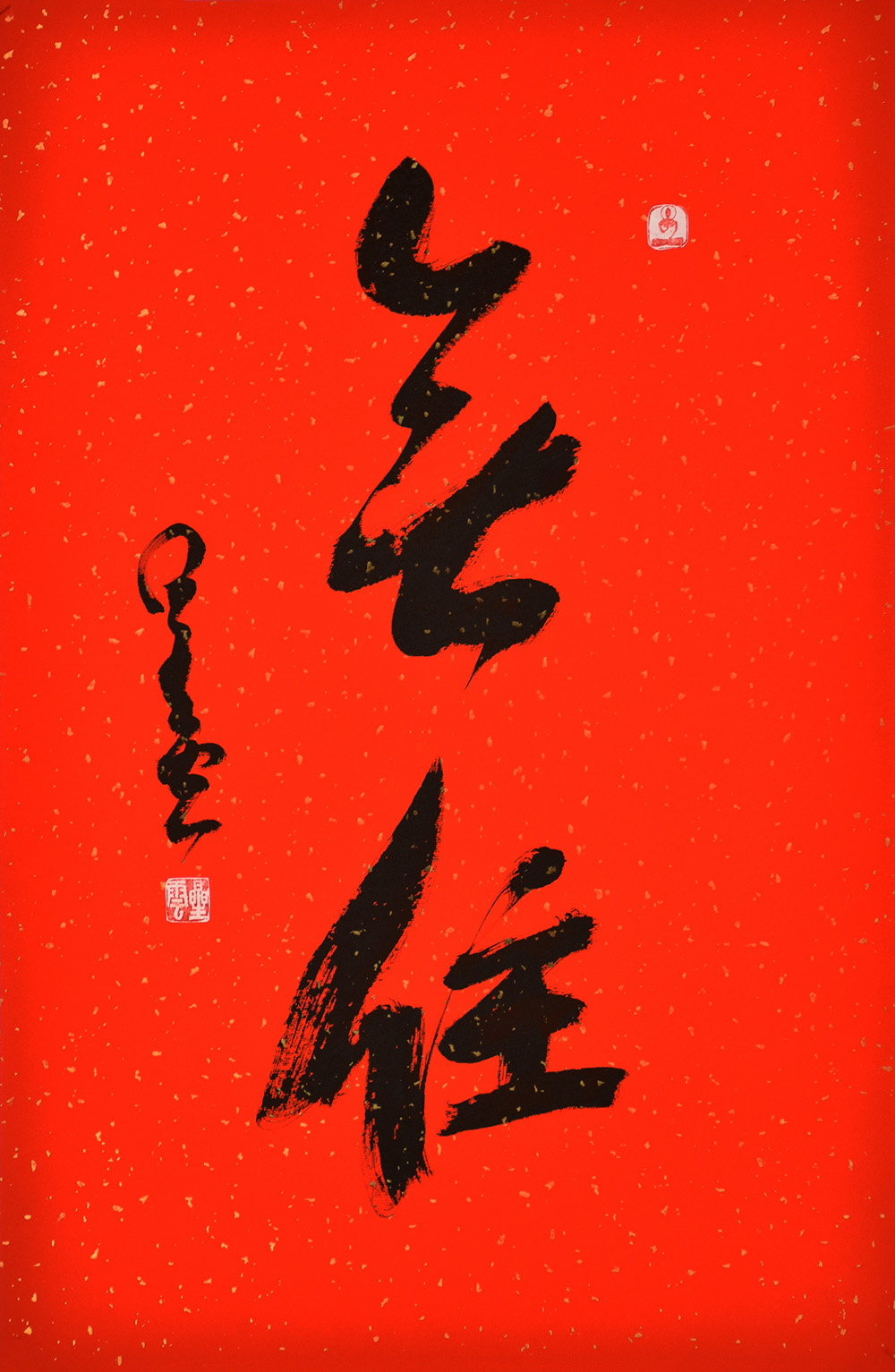 鷨