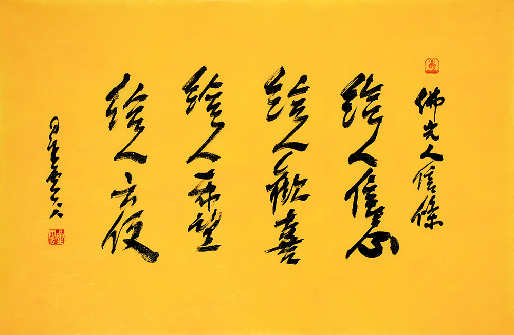 鷨