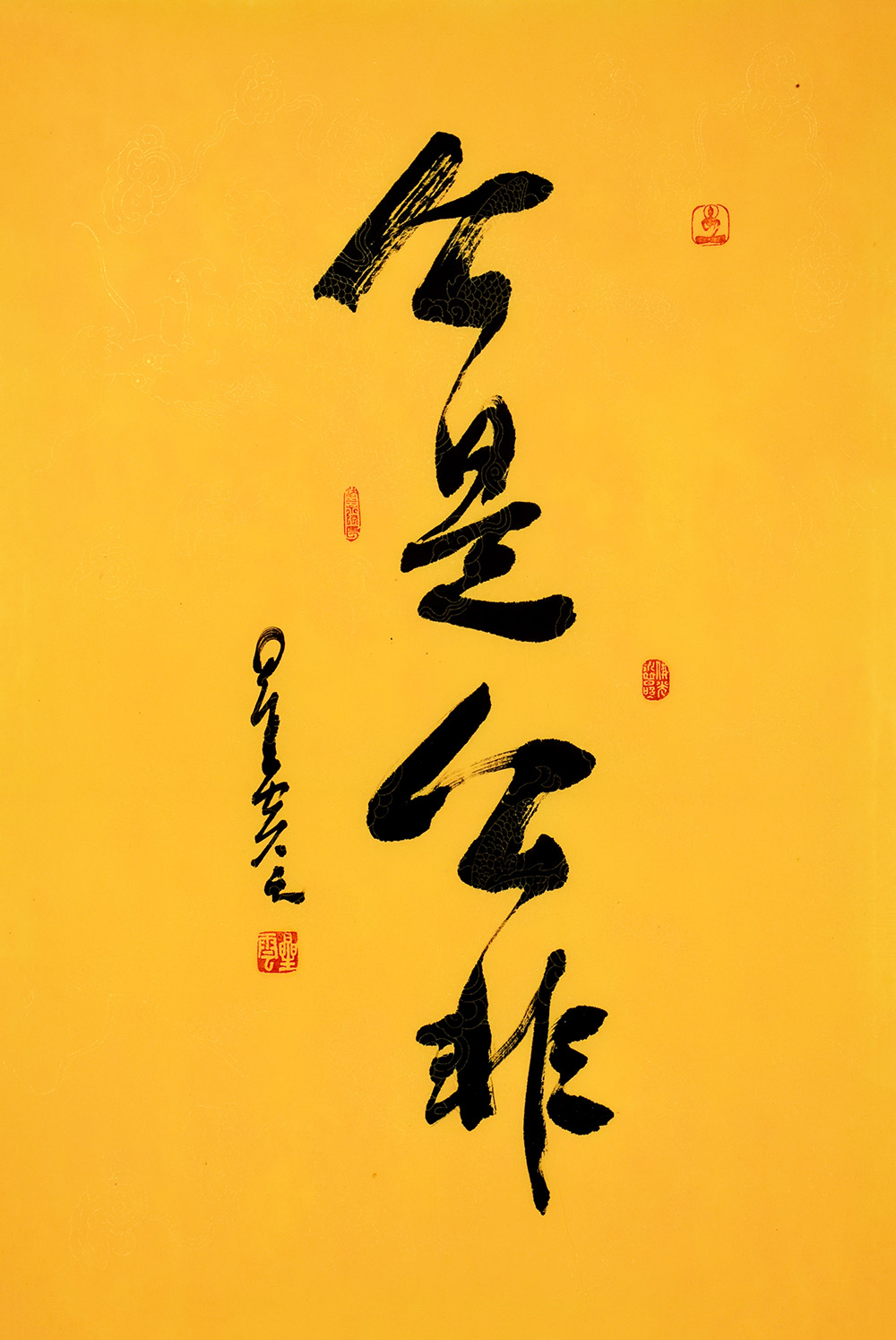 鷨
