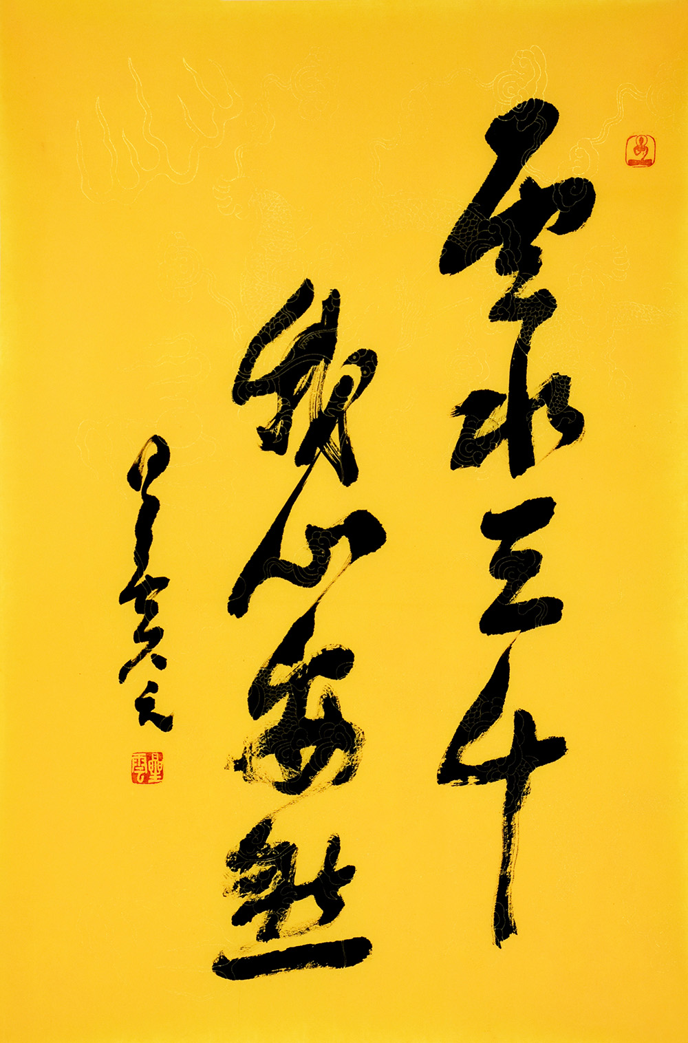 鷨