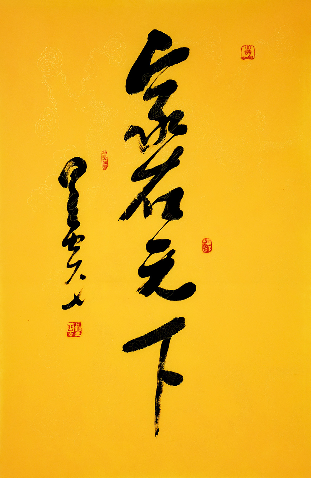 鷨