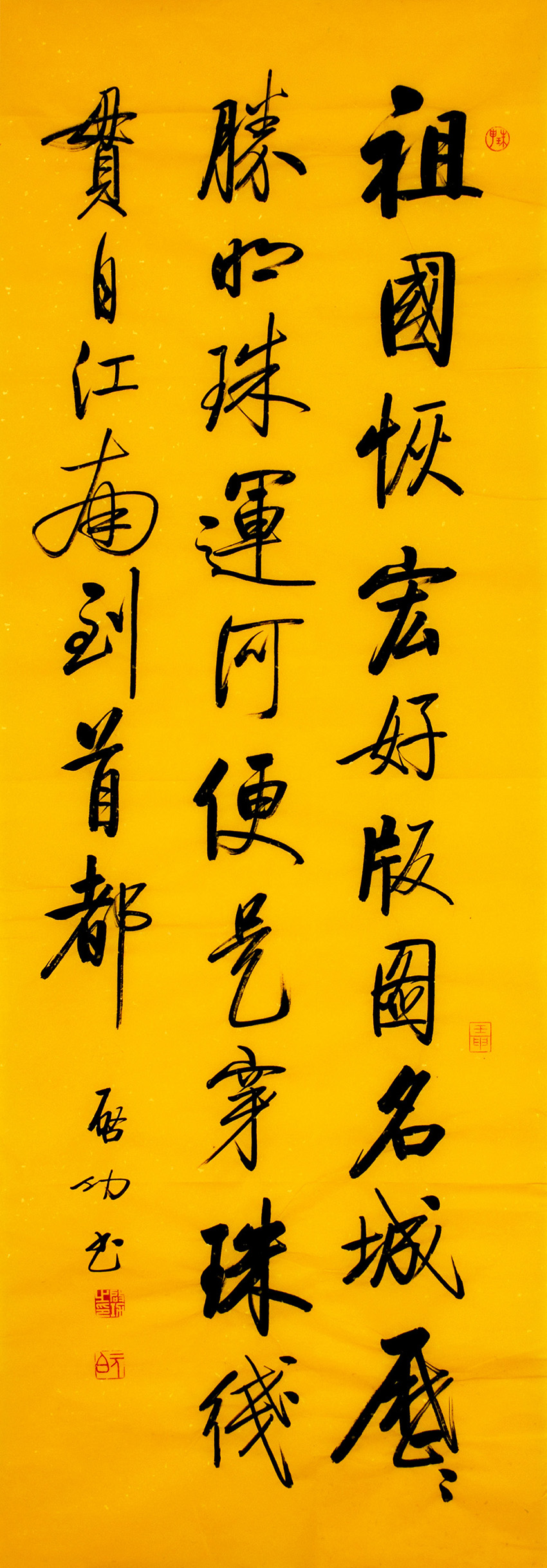 鷨