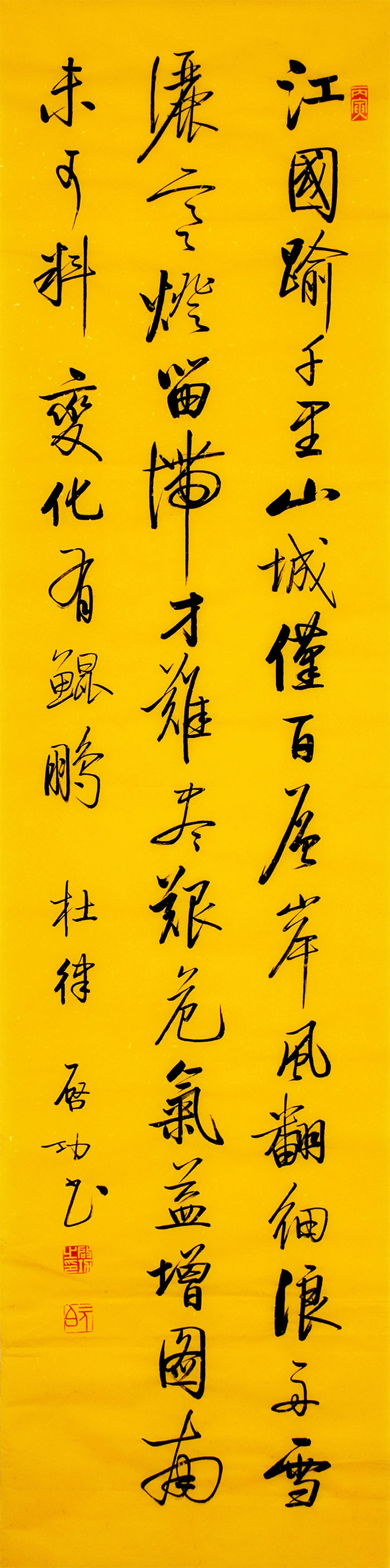 鷨