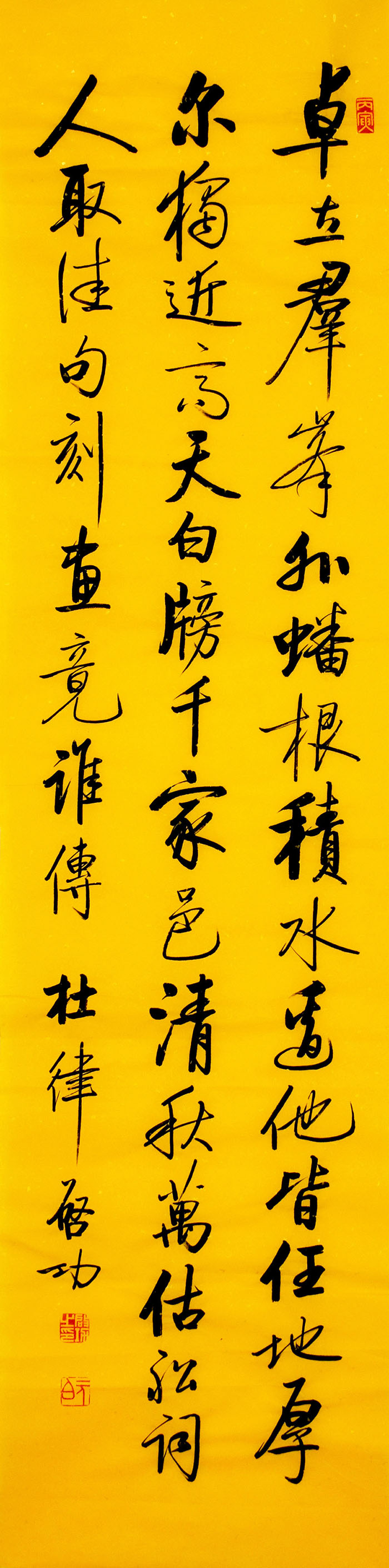 鷨