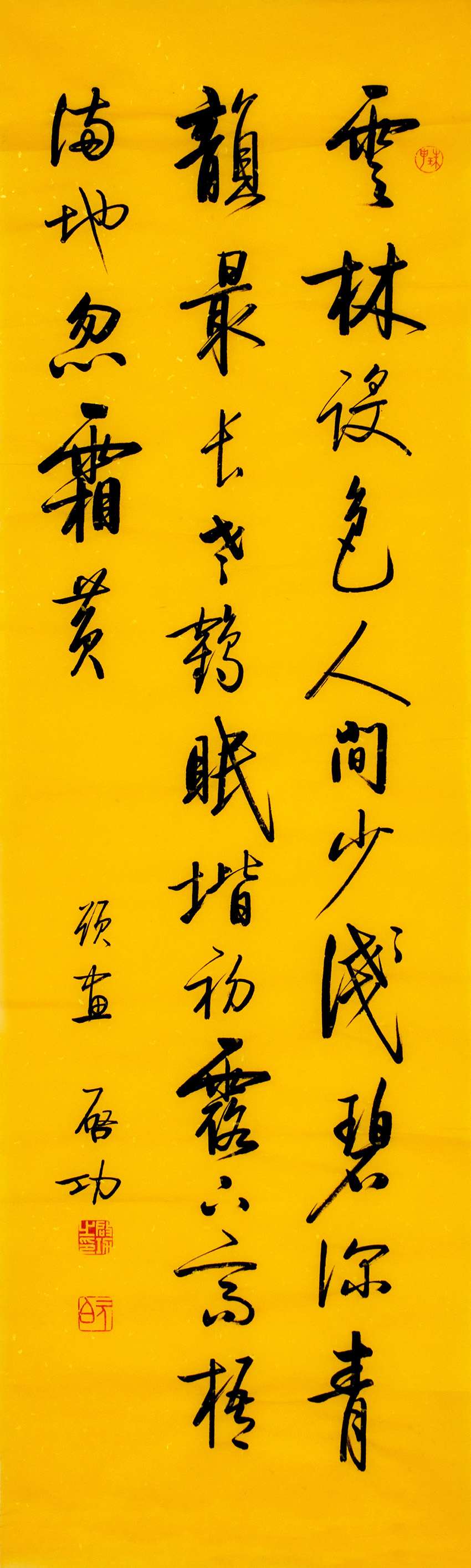 鷨