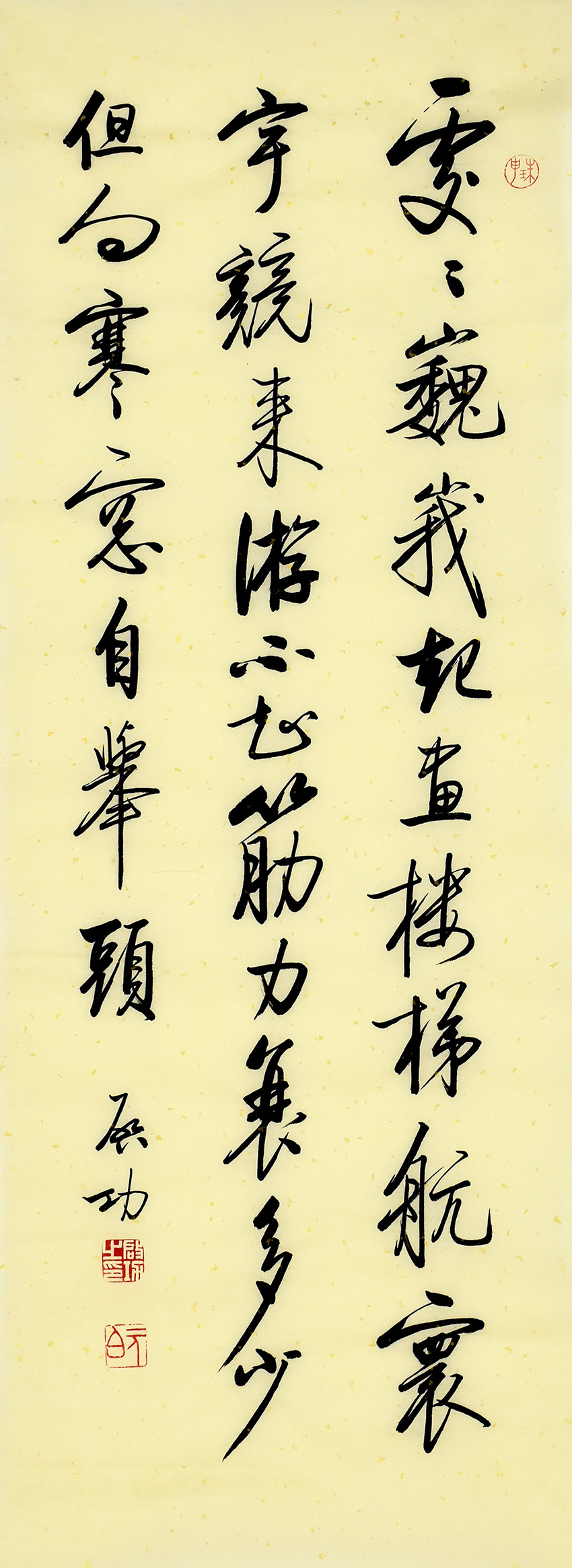 鷨