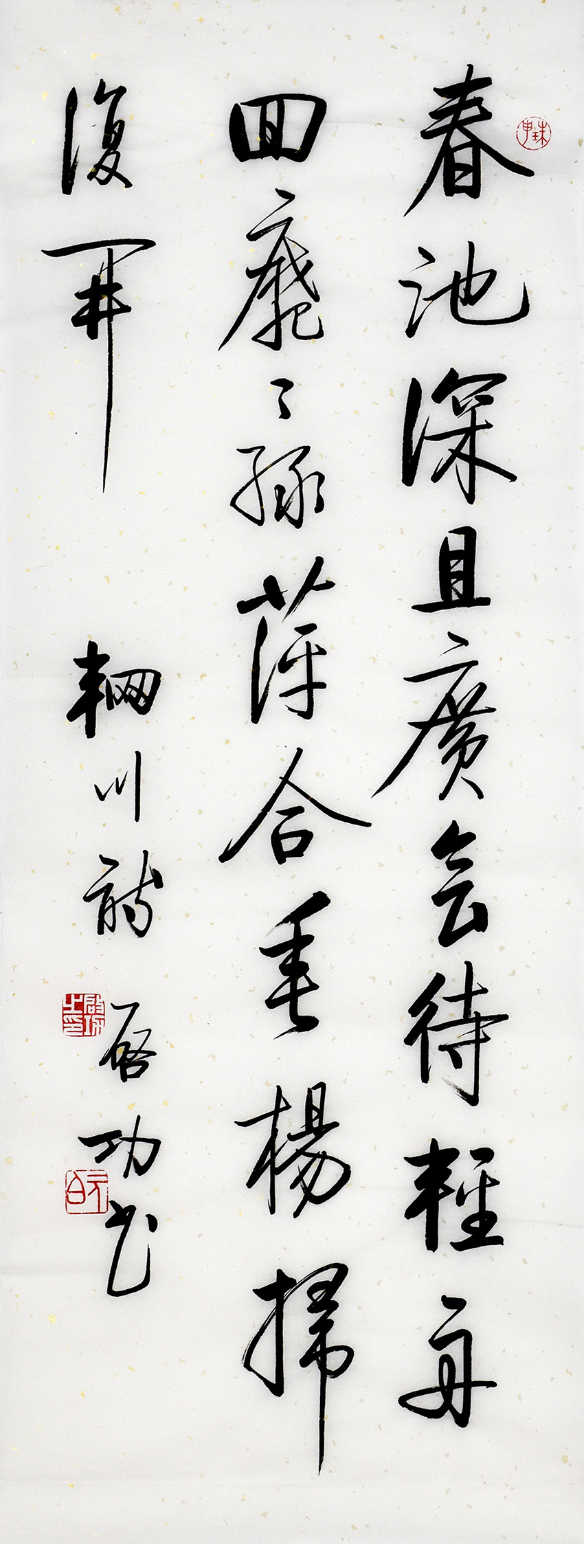 鷨