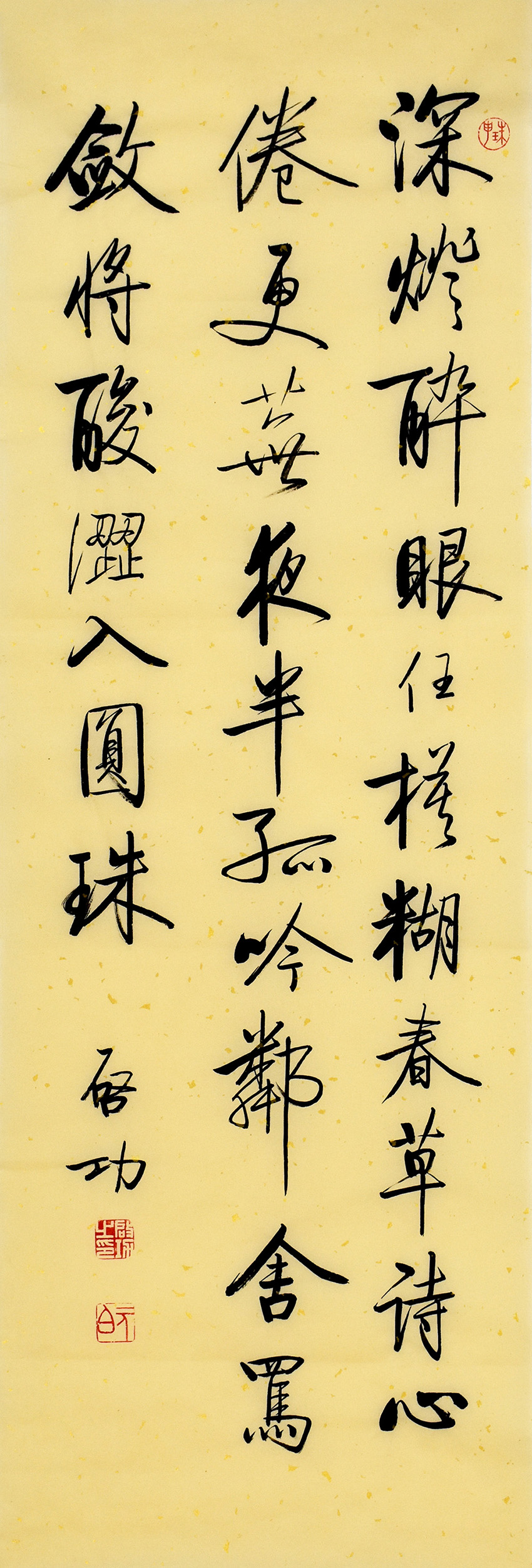 鷨