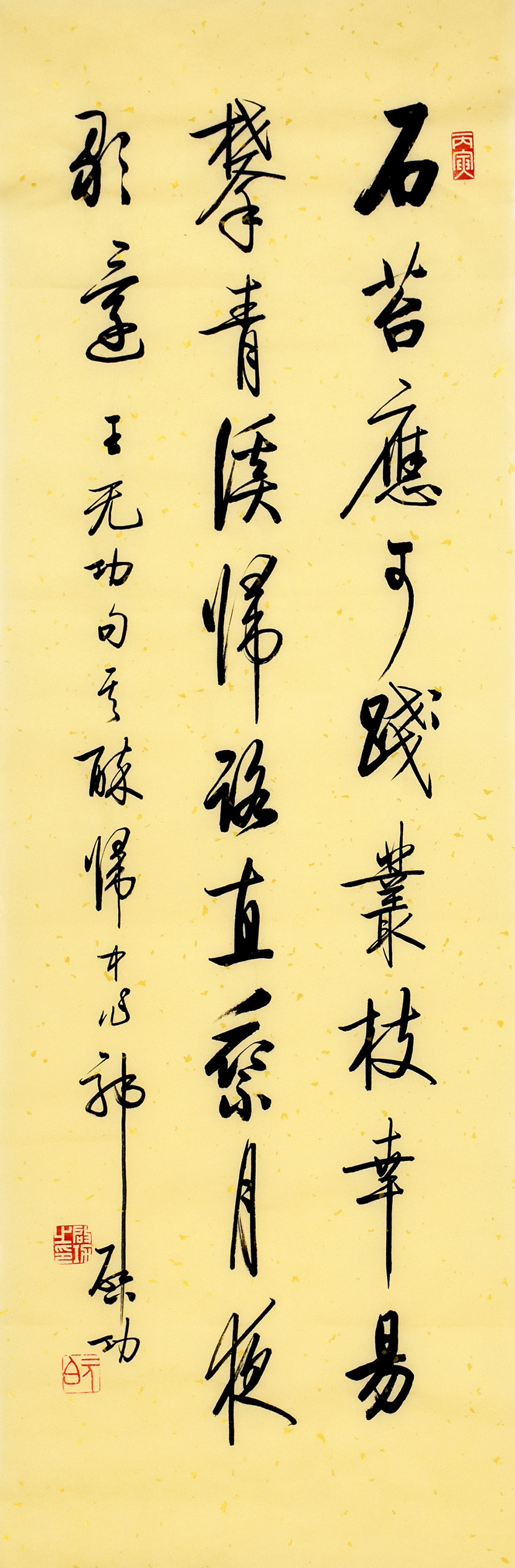 鷨