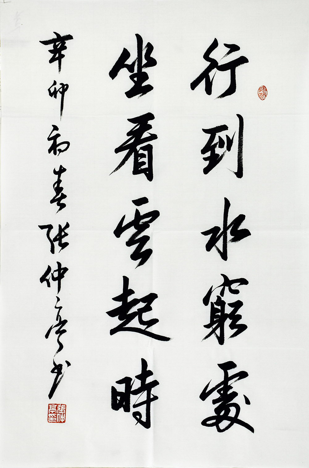 鷨
